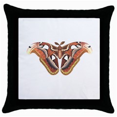 Butterfly Animal Insect Isolated Throw Pillow Case (black) by Simbadda