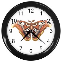 Butterfly Animal Insect Isolated Wall Clocks (black) by Simbadda