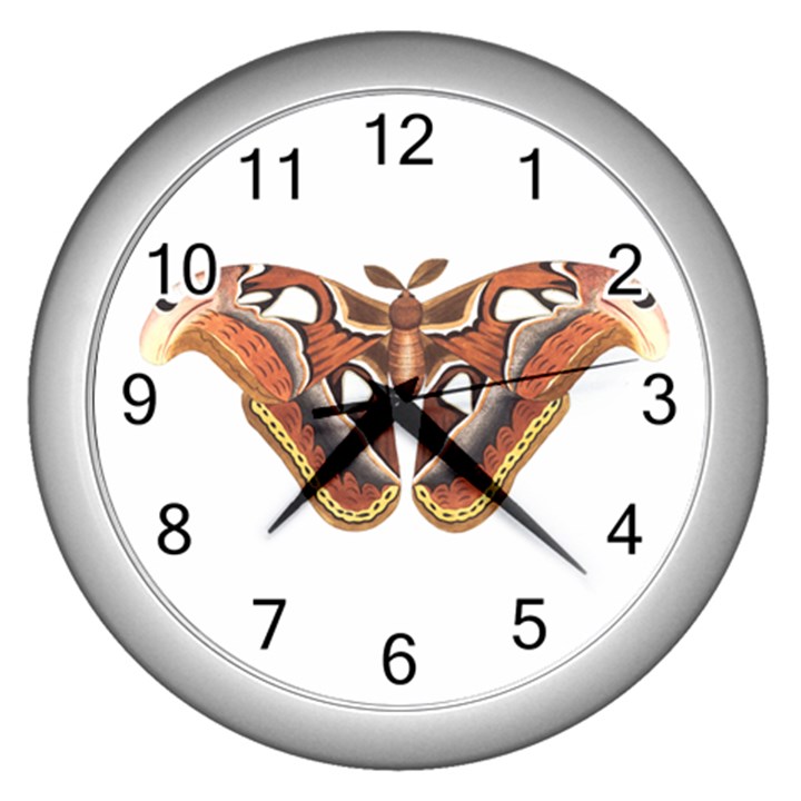 Butterfly Animal Insect Isolated Wall Clocks (Silver) 