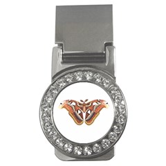 Butterfly Animal Insect Isolated Money Clips (cz)  by Simbadda