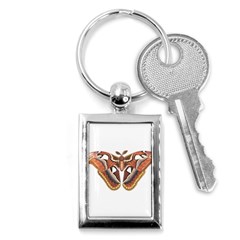 Butterfly Animal Insect Isolated Key Chains (rectangle)  by Simbadda