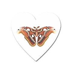 Butterfly Animal Insect Isolated Heart Magnet by Simbadda