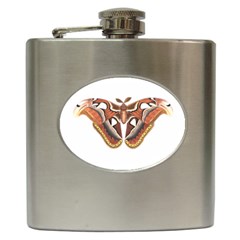 Butterfly Animal Insect Isolated Hip Flask (6 Oz) by Simbadda