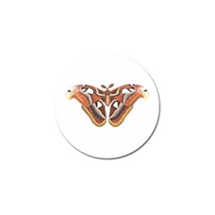 Butterfly Animal Insect Isolated Golf Ball Marker (4 Pack)