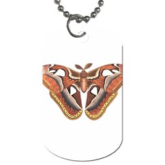 Butterfly Animal Insect Isolated Dog Tag (two Sides) by Simbadda