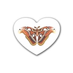 Butterfly Animal Insect Isolated Rubber Coaster (heart)  by Simbadda