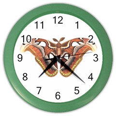 Butterfly Animal Insect Isolated Color Wall Clocks by Simbadda