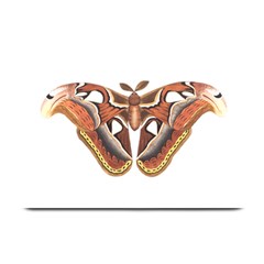 Butterfly Animal Insect Isolated Plate Mats