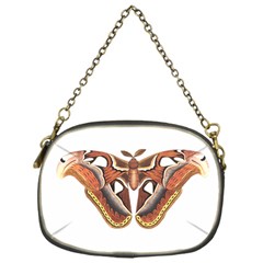 Butterfly Animal Insect Isolated Chain Purses (one Side)  by Simbadda