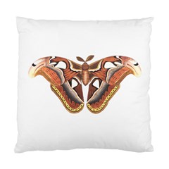 Butterfly Animal Insect Isolated Standard Cushion Case (one Side) by Simbadda