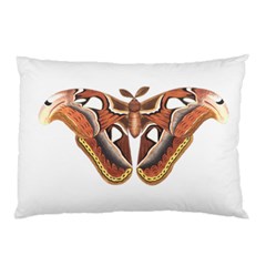 Butterfly Animal Insect Isolated Pillow Case