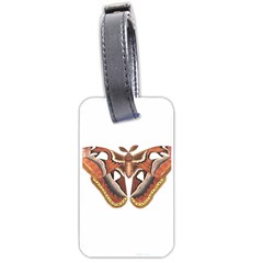 Butterfly Animal Insect Isolated Luggage Tags (one Side)  by Simbadda