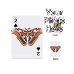 Butterfly Animal Insect Isolated Playing Cards 54 (Mini)  Front - Spade2