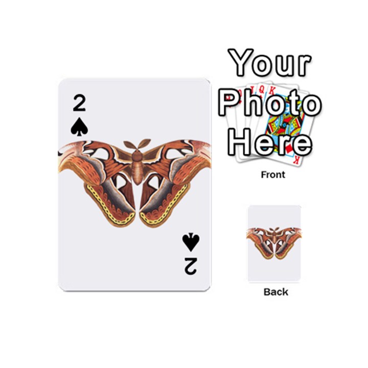 Butterfly Animal Insect Isolated Playing Cards 54 (Mini) 