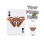 Butterfly Animal Insect Isolated Playing Cards 54 (Mini)  Front - SpadeQ