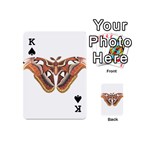 Butterfly Animal Insect Isolated Playing Cards 54 (Mini)  Front - SpadeK