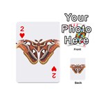 Butterfly Animal Insect Isolated Playing Cards 54 (Mini)  Front - Heart2