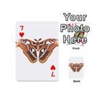 Butterfly Animal Insect Isolated Playing Cards 54 (Mini)  Front - Heart7