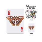 Butterfly Animal Insect Isolated Playing Cards 54 (Mini)  Front - Heart10