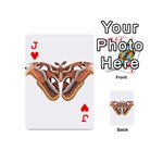 Butterfly Animal Insect Isolated Playing Cards 54 (Mini)  Front - HeartJ