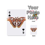 Butterfly Animal Insect Isolated Playing Cards 54 (Mini)  Front - Spade6