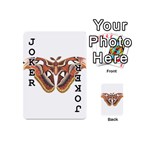 Butterfly Animal Insect Isolated Playing Cards 54 (Mini)  Front - Joker1