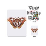 Butterfly Animal Insect Isolated Playing Cards 54 (Mini)  Back