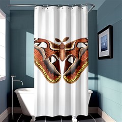 Butterfly Animal Insect Isolated Shower Curtain 36  X 72  (stall) 