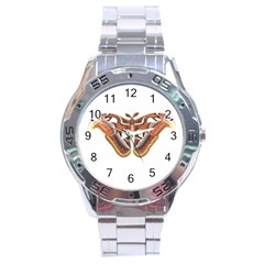 Butterfly Animal Insect Isolated Stainless Steel Analogue Watch