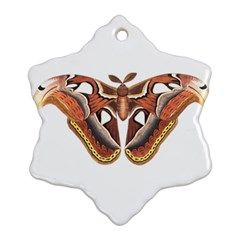 Butterfly Animal Insect Isolated Ornament (snowflake)