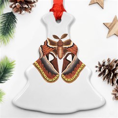 Butterfly Animal Insect Isolated Ornament (christmas Tree) 