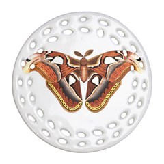 Butterfly Animal Insect Isolated Round Filigree Ornament (two Sides)