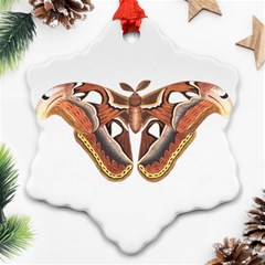 Butterfly Animal Insect Isolated Snowflake Ornament (two Sides) by Simbadda