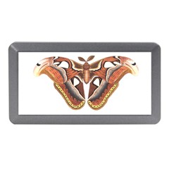 Butterfly Animal Insect Isolated Memory Card Reader (mini) by Simbadda