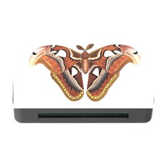 Butterfly Animal Insect Isolated Memory Card Reader With Cf by Simbadda