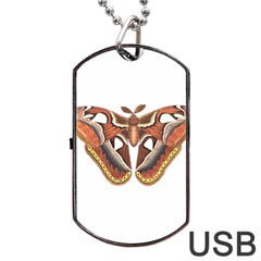 Butterfly Animal Insect Isolated Dog Tag Usb Flash (one Side)