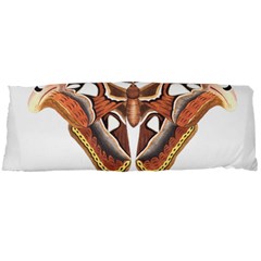 Butterfly Animal Insect Isolated Body Pillow Case Dakimakura (two Sides) by Simbadda