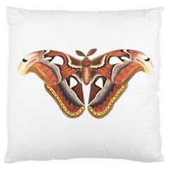 Butterfly Animal Insect Isolated Large Cushion Case (one Side) by Simbadda