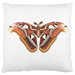 Butterfly Animal Insect Isolated Large Cushion Case (One Side) Front