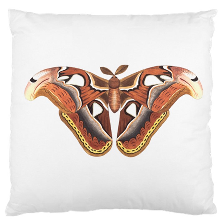 Butterfly Animal Insect Isolated Large Cushion Case (One Side)