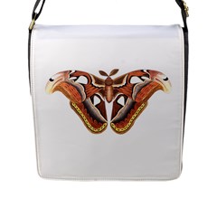 Butterfly Animal Insect Isolated Flap Messenger Bag (l)  by Simbadda