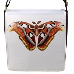 Butterfly Animal Insect Isolated Flap Messenger Bag (s) by Simbadda