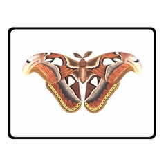 Butterfly Animal Insect Isolated Double Sided Fleece Blanket (small)  by Simbadda