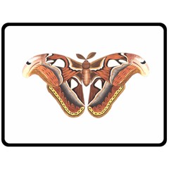 Butterfly Animal Insect Isolated Double Sided Fleece Blanket (large)  by Simbadda