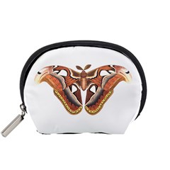 Butterfly Animal Insect Isolated Accessory Pouches (small)  by Simbadda