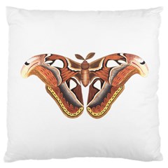 Butterfly Animal Insect Isolated Large Flano Cushion Case (two Sides) by Simbadda