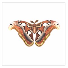 Butterfly Animal Insect Isolated Large Satin Scarf (square) by Simbadda