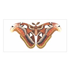 Butterfly Animal Insect Isolated Satin Shawl