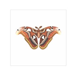 Butterfly Animal Insect Isolated Small Satin Scarf (square) by Simbadda