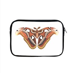 Butterfly Animal Insect Isolated Apple Macbook Pro 15  Zipper Case